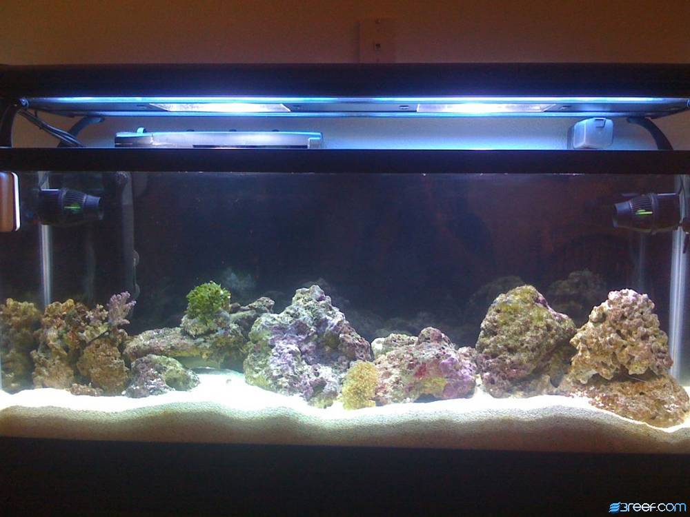 Most recent setup as of 12 Mar 2008