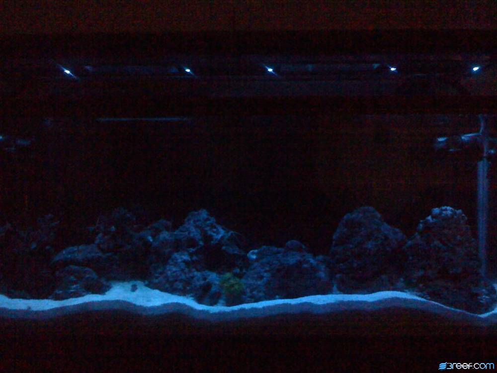 760w with 12 blue moon lights on.  On a crappy camera.