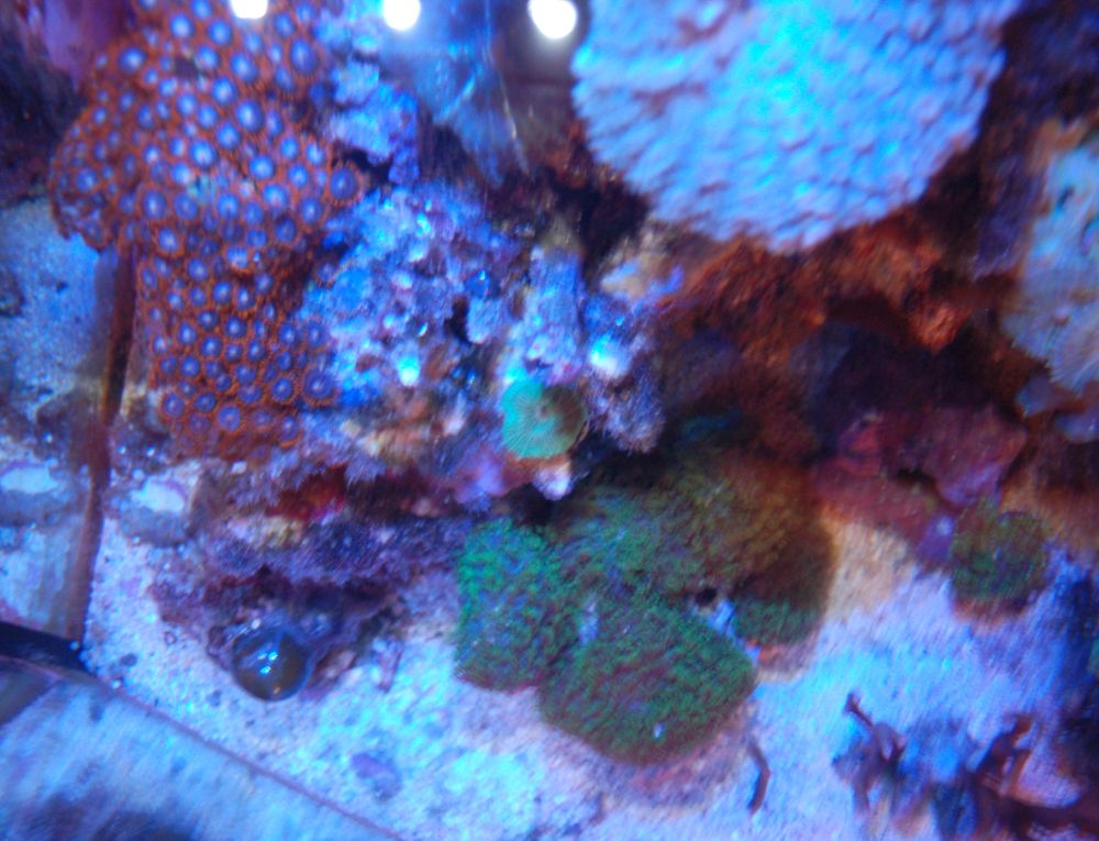 Nice look down...Blue LED&#039;s
