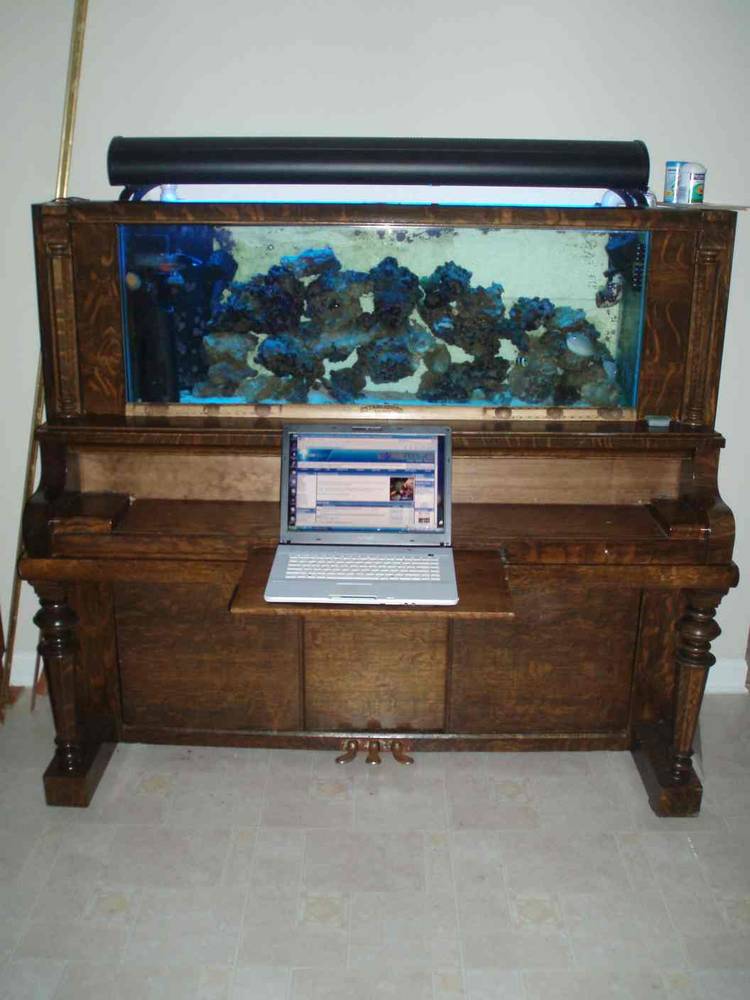 First pic&#039;s of my new setup.  The pic&#039;s aren&#039;t so good, but I&#039;m working on it....