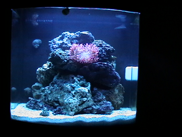 Frontal pic of my 24g nano