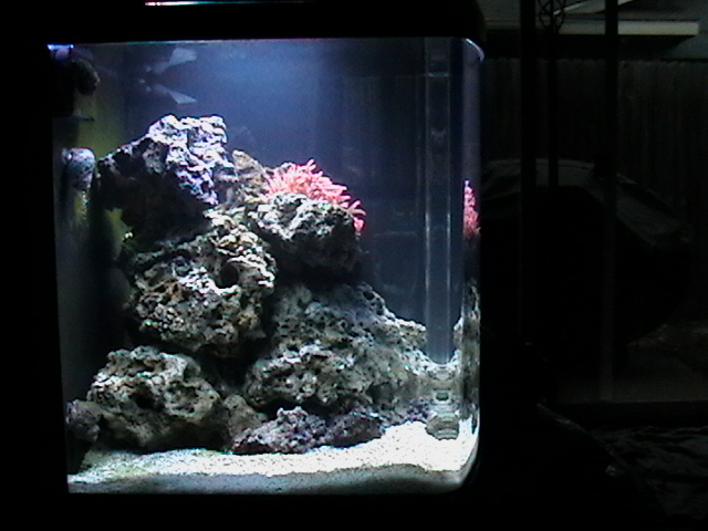 left view of my 24g nano