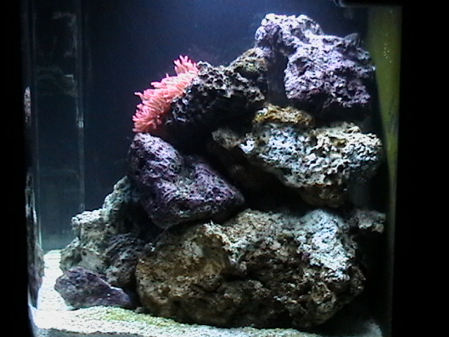 right view of my 24g nano