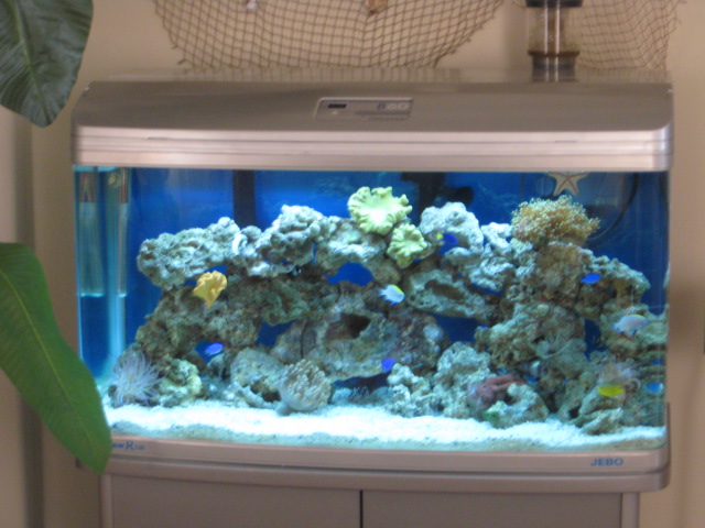 76 Gallon JEBO R3100<br />
400 Emperor filer <br />
uv<br />
Super Skimmer