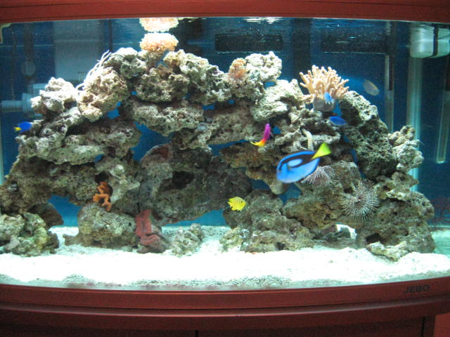 JEBO R3100 76 Gallon with Emperor 400, Super Skimmer, UV, 60lb araganite, 90lb live rock,