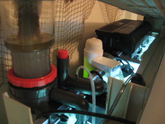 JEBO R3100 76 Gallon with Emperor 400, Super Skimmer, UV, 60lb araganite, 90lb live rock,