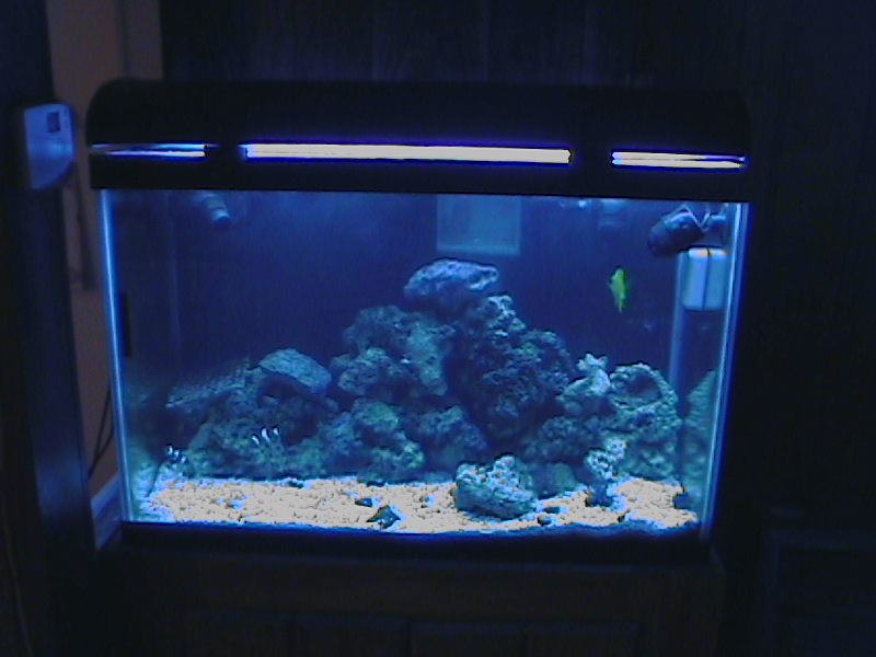 65 gal.