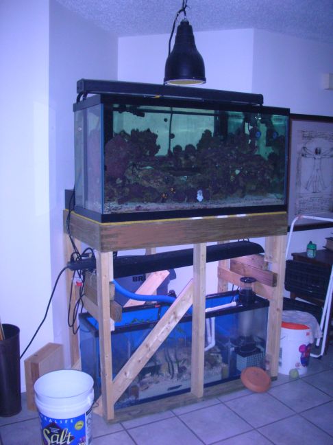 this is version #3 of my 90g setup.