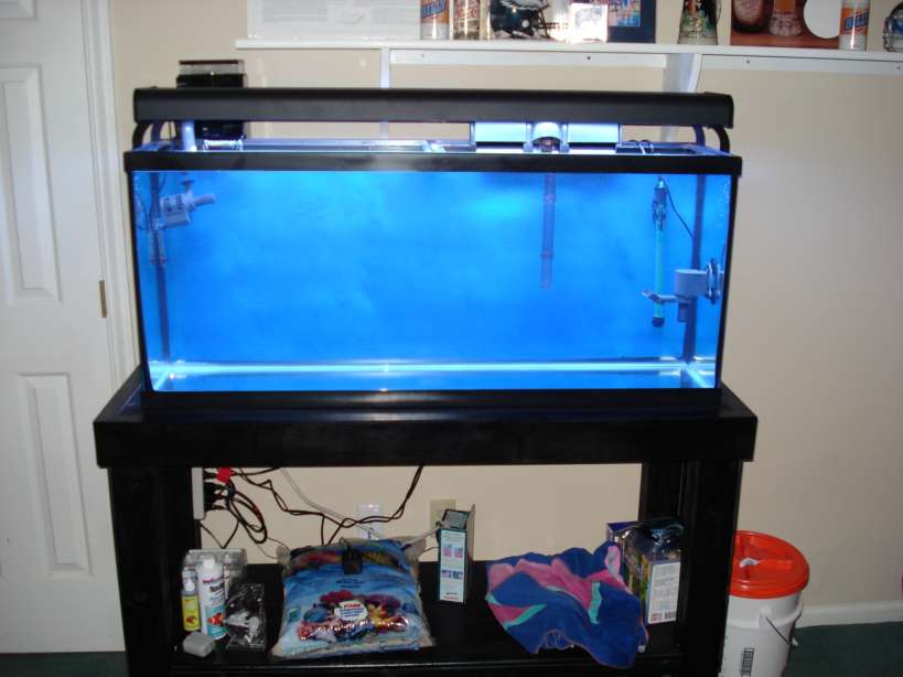 My empty tank after I filled it and put salt into it, I know, pretty boring