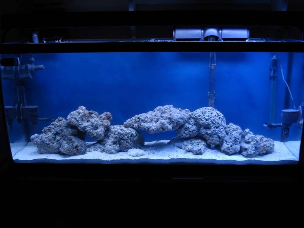 Added final maxi jet, lr aquascaped and sand bed added.  Now just going to let things stabilize for...