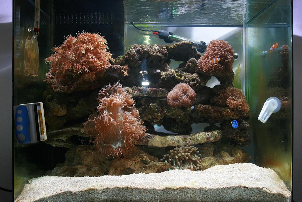 the new tank.