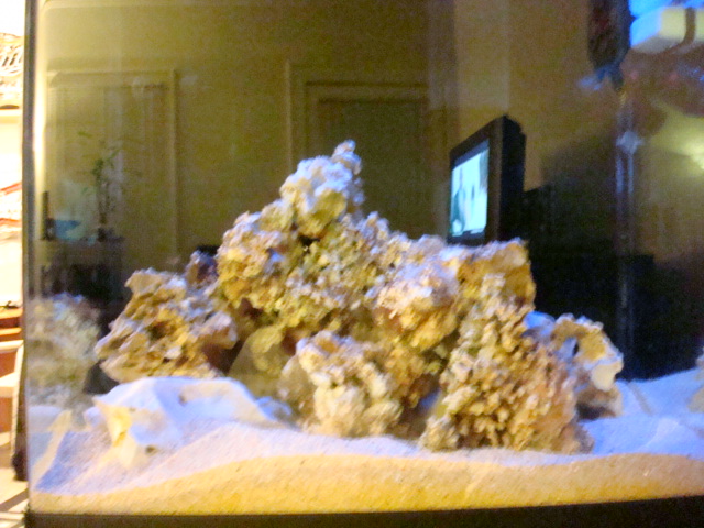 Fiirst pics of my RSM and hopefully not last