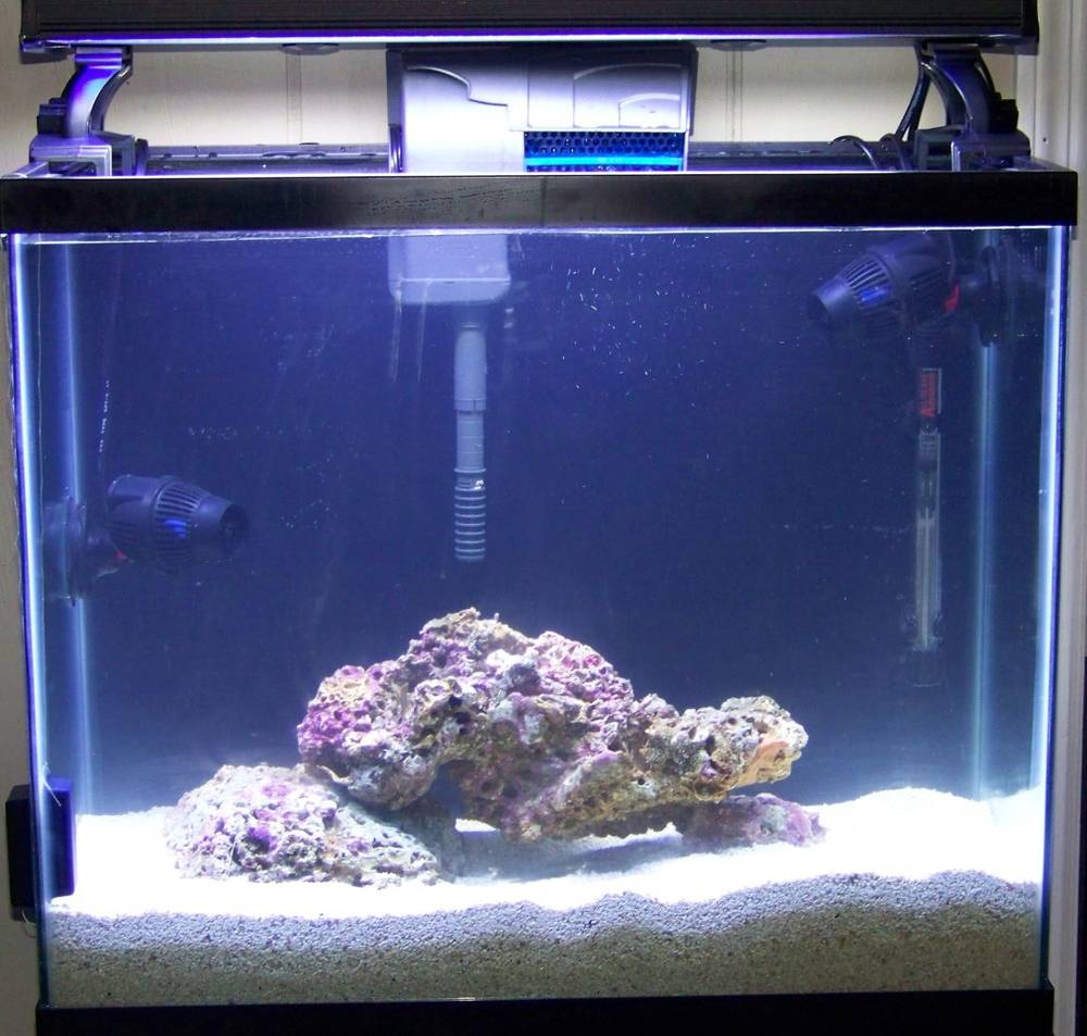 Taken May 23, 2008, the day we added water