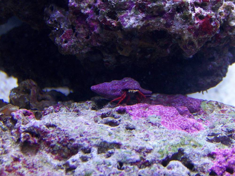 I swear this one hides when he notices us looking at him.  It&#039;s so rare to see him straight...