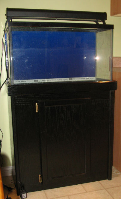 Previously a freshwater tank, this photo was taken prior to conversion to saltwater