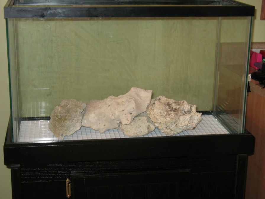 testing my arrangement of the base rock atop the egg crate