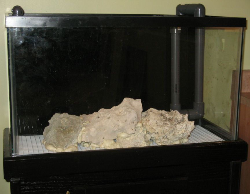 back of tank has been painted, base rock secured with spray foam