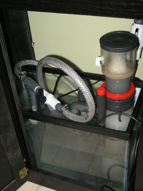 my 10 gallon sump, with Coralife Super Skimmer 65 (needle wheel) and pondmaster mag drive 500