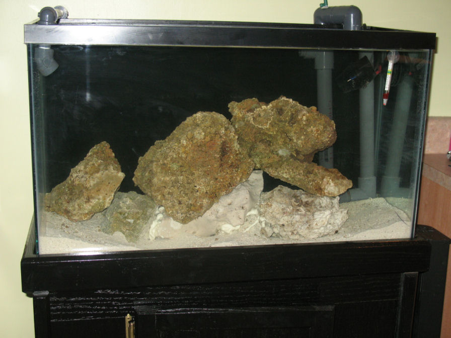 sand, water added, most of live rock...still have a pretty large piece marinating in a tub in the...