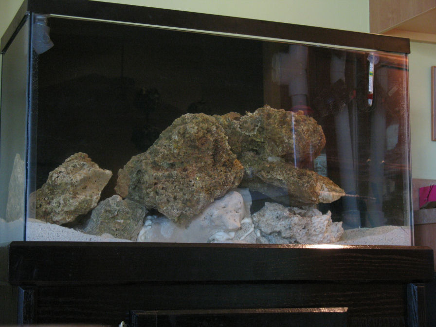 sand, water added, most of live rock...still have a pretty large piece marinating in a tub in the...