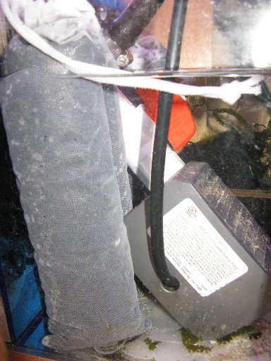 Nothing much to look at in the 3rd chamber.  This is where I keep the bags of charcoal and the...