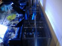 15 gallon fuge tank mount, getting ready...