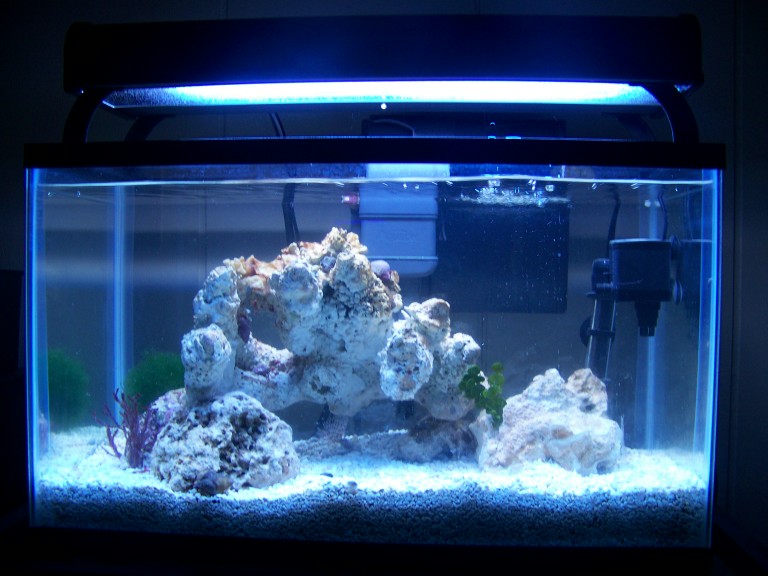 Stocked with some macroalgae, and a few snails/hermits.  This may not &quot;stay&quot; a q/t for...