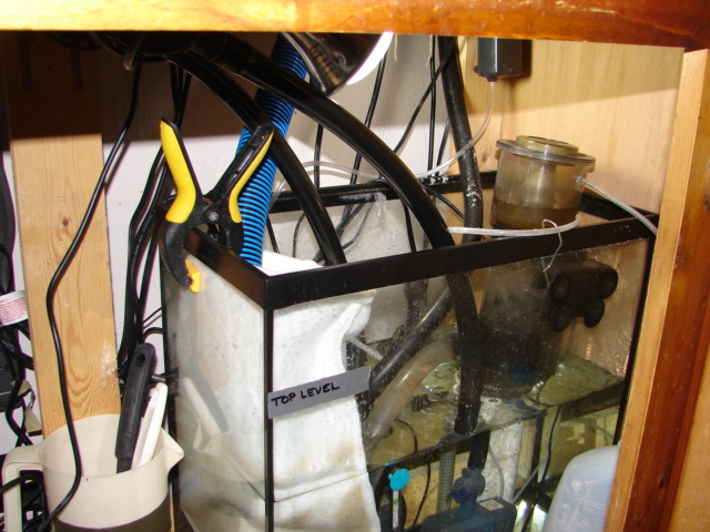 I am taking this series of two pics as a before and after.  This is the set up that came with the...