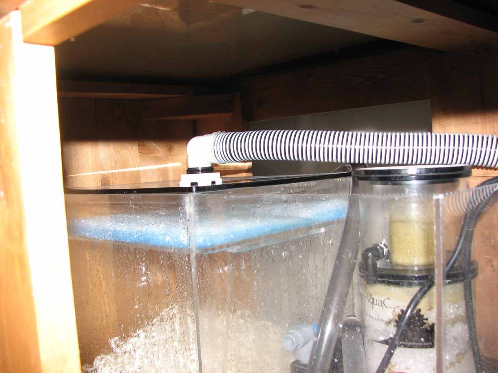 Added a 90 degree elbow to the inlet on my wet/dry sump to eliminate the gurgling toilet sound.