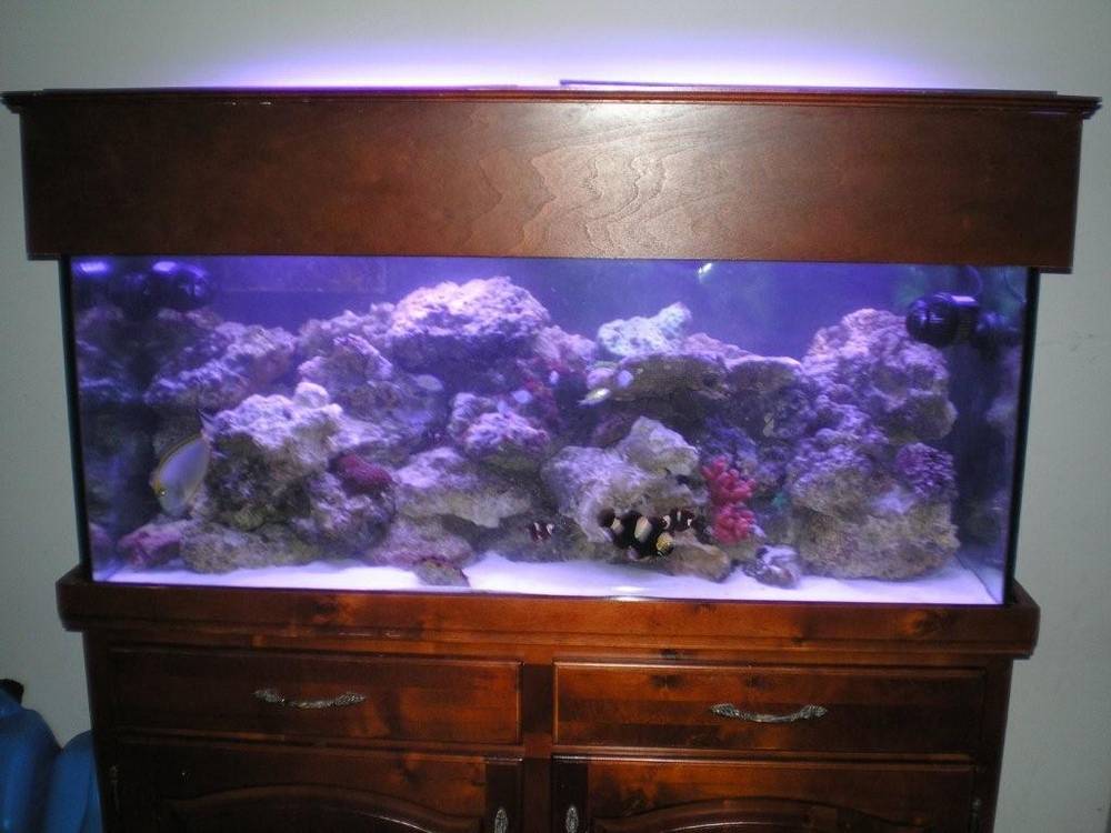 It isn&#039;t much yet but is mine  <img src="styles/default/xenforo/clear.png"...