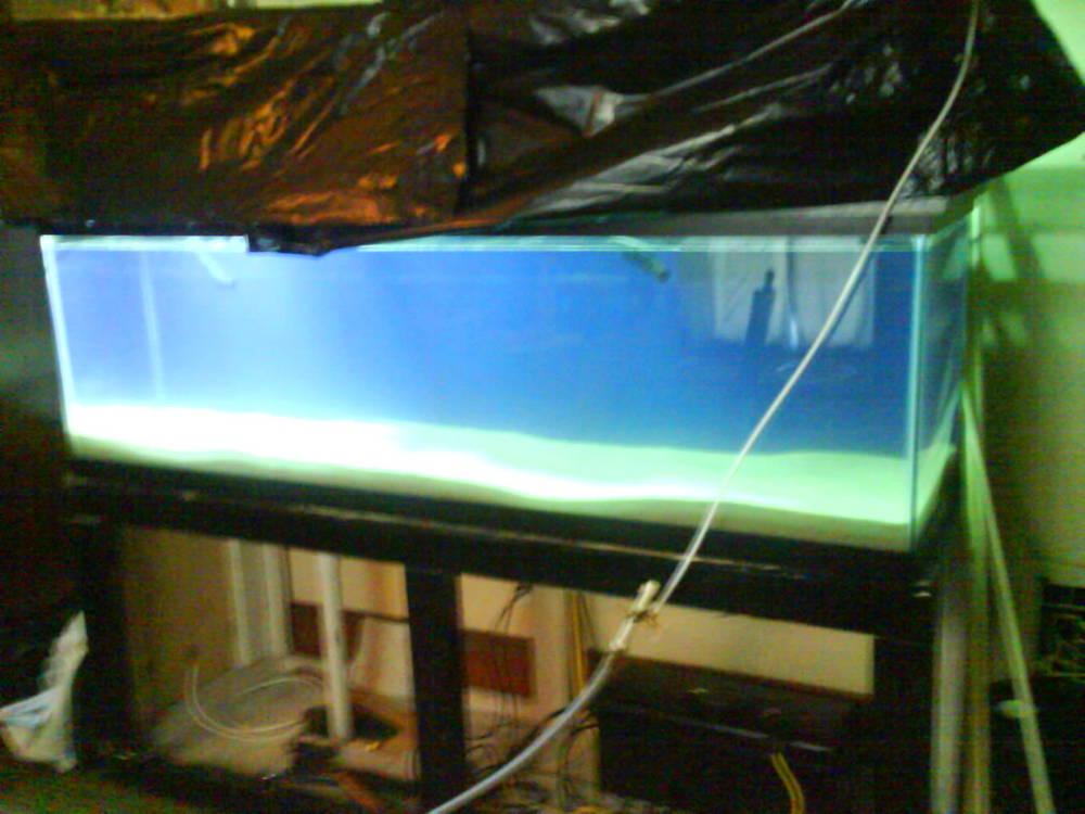125g at the beginning.