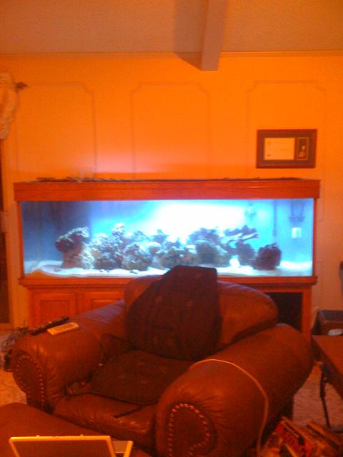 7&#039; Long<br />
29 3/4 &quot; front to Back