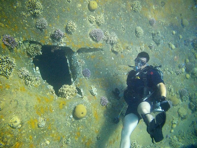 coral in the sea