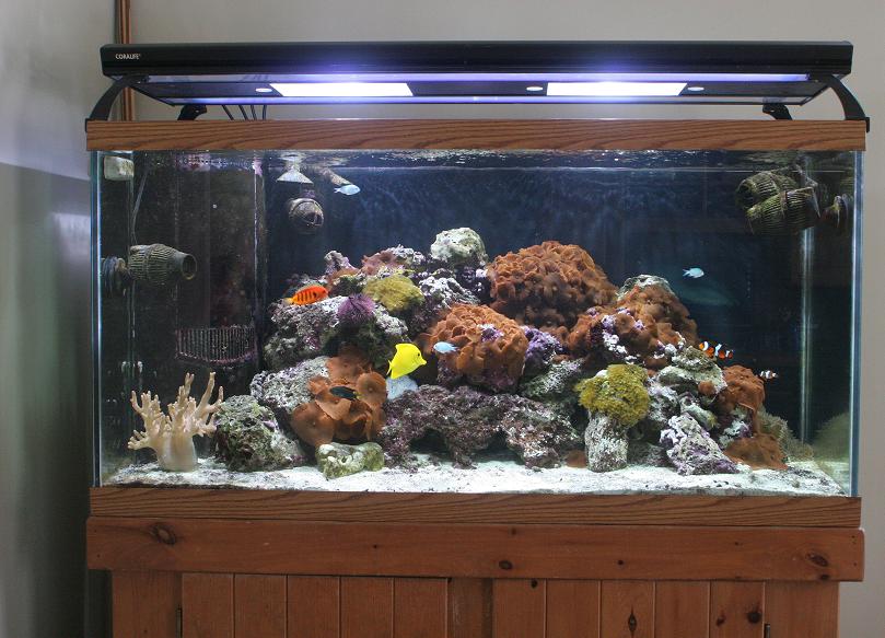 Overall tank shot