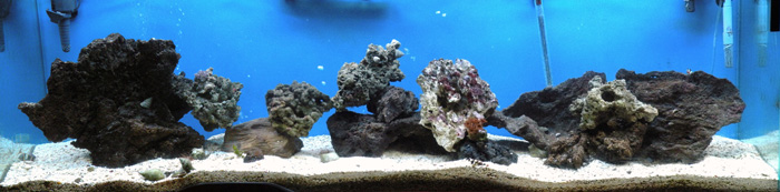 Here is a picture of my tank when I started reef setup back in November