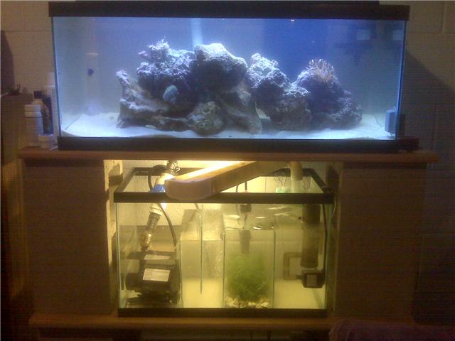 Finally my sump is up what a hassle to build lol