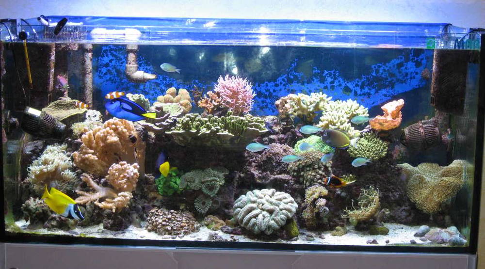 tanks after 18 months