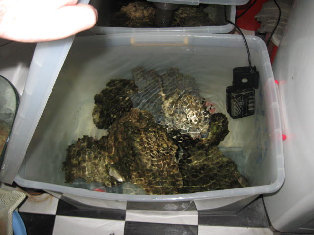 tank images