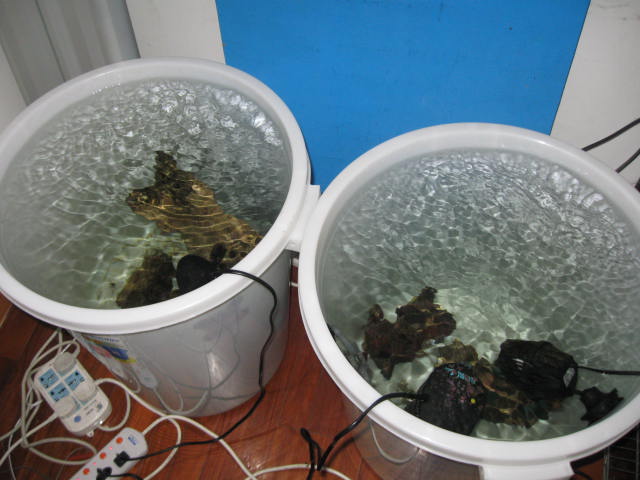 tank images