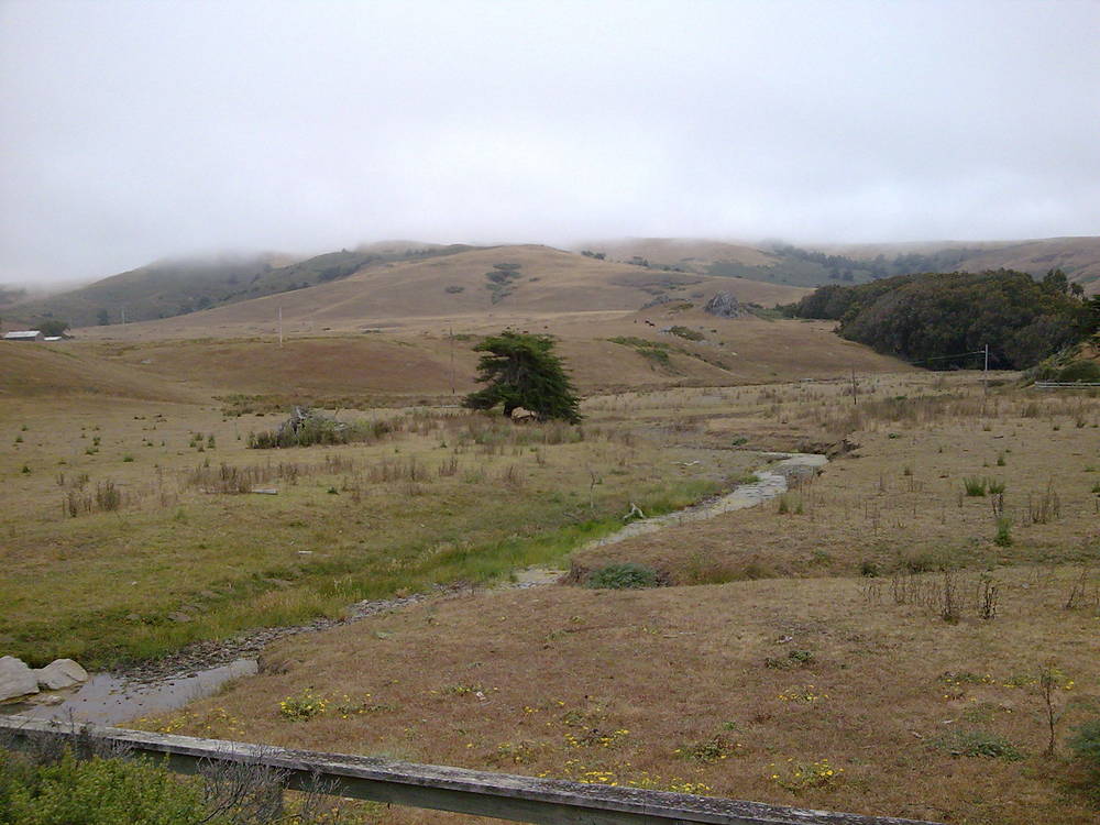 A nice landscape near the ocean in Northern California
