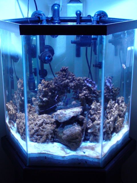 New setup after adding 30lbs of base rocks and changed out some CC for sand