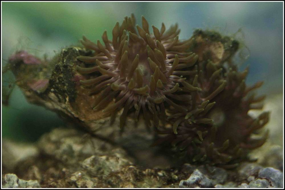 Dunno what this is...do you?