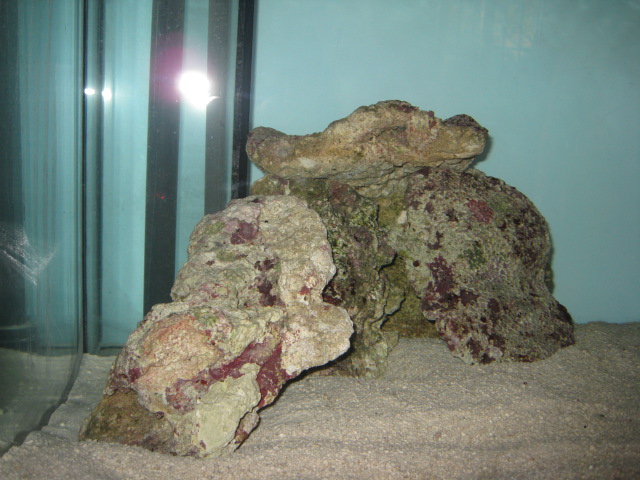Indonesian live rock before aquasculpting