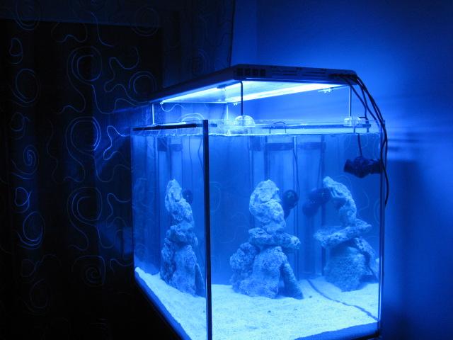 T5 flourescent anodized lamp