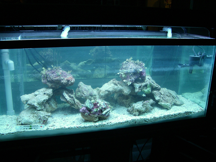 First picture of the tank.