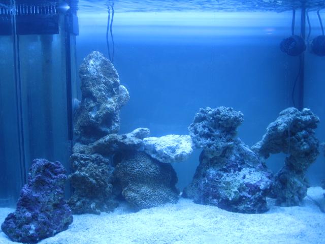 After fooling around forever, I came up with this aquadesign