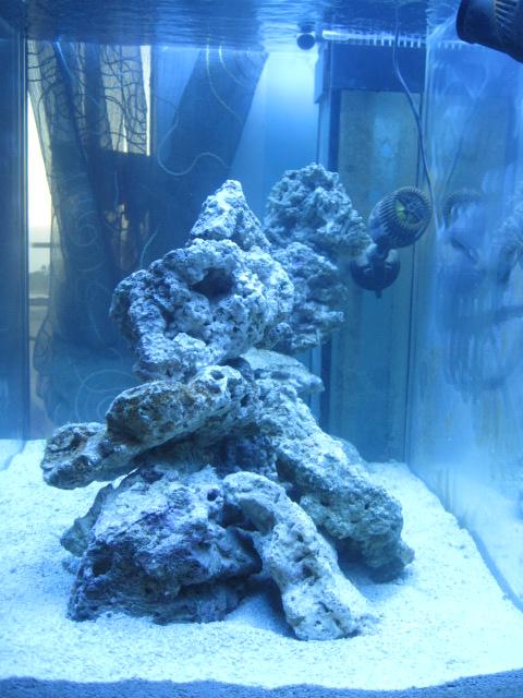 My latest aquascaping attempt