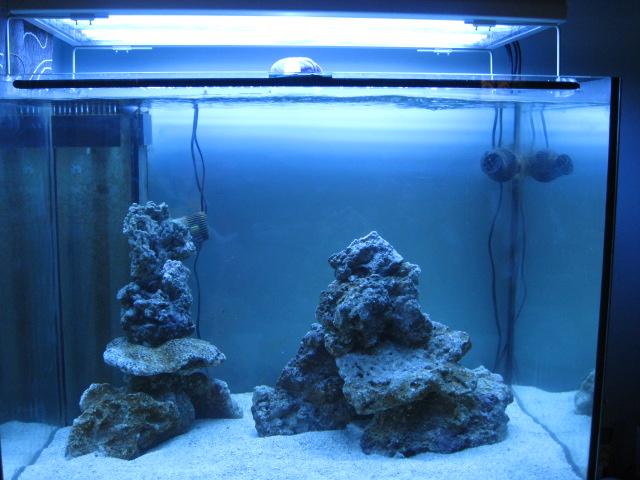 My latest aquascaping attempt