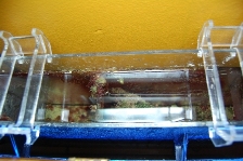 Refugium with light removed