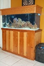 My Setup
